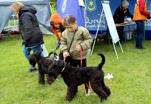 26 Psie serca i sportowe emocje – Tarnowskie Błonia