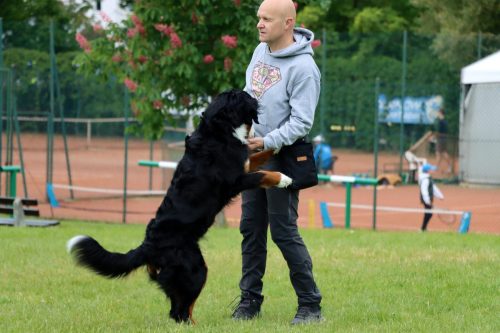 28 Psie serca i sportowe emocje – Tarnowskie Błonia