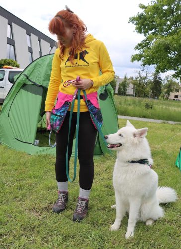 37 Psie serca i sportowe emocje – Tarnowskie Błonia