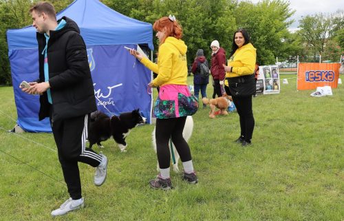 38 Psie serca i sportowe emocje – Tarnowskie Błonia