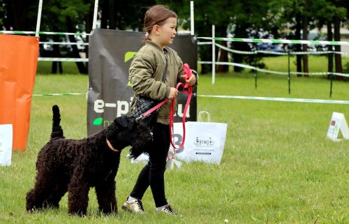 4 Psie serca i sportowe emocje – Tarnowskie Błonia