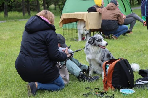 41 Psie serca i sportowe emocje – Tarnowskie Błonia