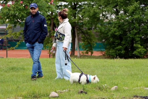 43 Psie serca i sportowe emocje – Tarnowskie Błonia