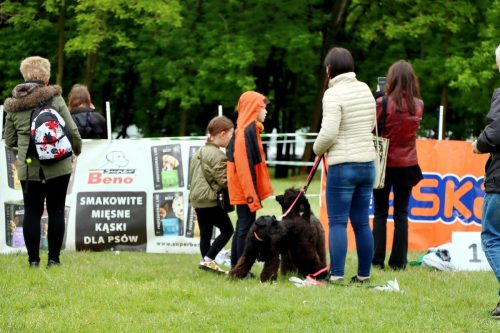 44 Psie serca i sportowe emocje – Tarnowskie Błonia