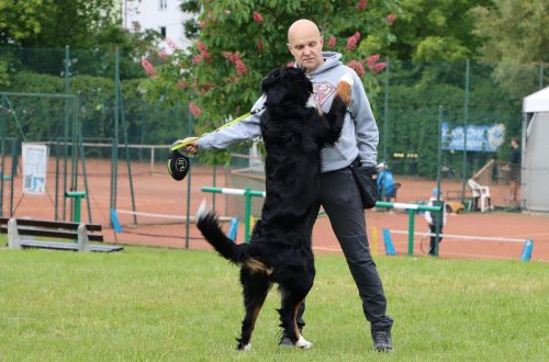 46 Psie serca i sportowe emocje – Tarnowskie Błonia