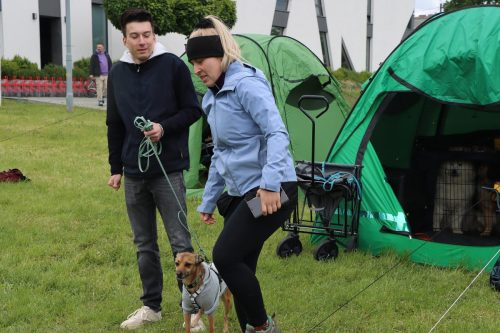 52 Psie serca i sportowe emocje – Tarnowskie Błonia