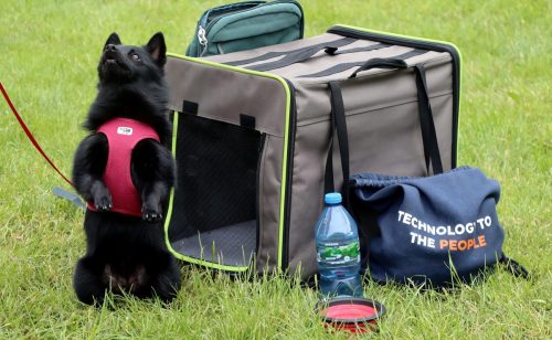 55 Psie serca i sportowe emocje – Tarnowskie Błonia