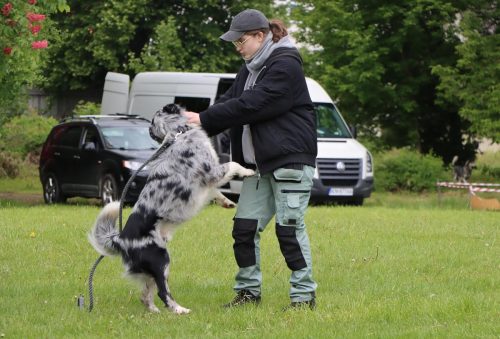62 Psie serca i sportowe emocje – Tarnowskie Błonia