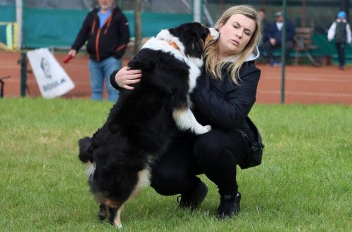 64 Psie serca i sportowe emocje – Tarnowskie Błonia