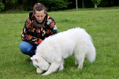 65 Psie serca i sportowe emocje – Tarnowskie Błonia