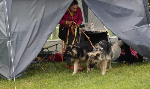 66 Psie serca i sportowe emocje – Tarnowskie Błonia