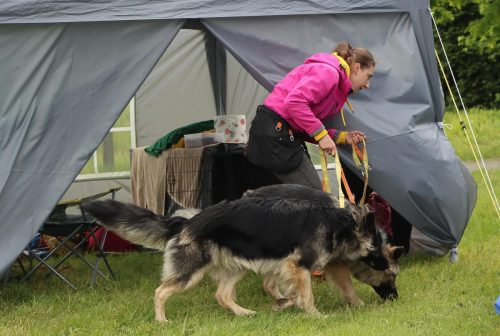 67 Psie serca i sportowe emocje – Tarnowskie Błonia