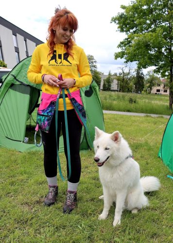 9 Psie serca i sportowe emocje – Tarnowskie Błonia