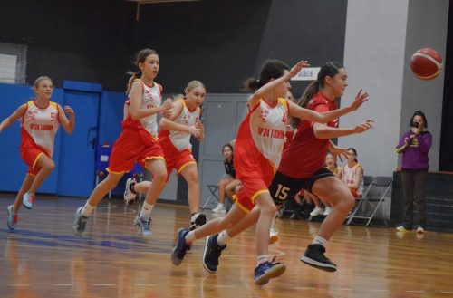 dsc-3614-edytowano-copy "PUCHAR TARNOWA" w koszykówce o Puchar Prezydenta Tarnowa rozpoczęty!