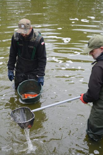3 Ochrona środowiska – na ratunek rybom w Parku Strzeleckim