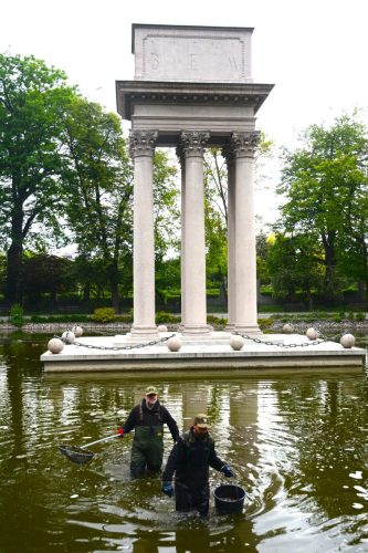 5 Ochrona środowiska – na ratunek rybom w Parku Strzeleckim