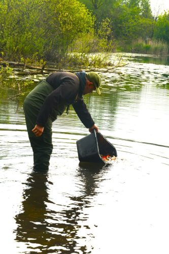 7 Ochrona środowiska – na ratunek rybom w Parku Strzeleckim
