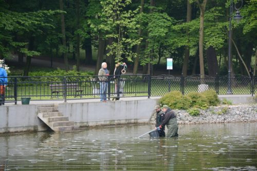 9 Ochrona środowiska – na ratunek rybom w Parku Strzeleckim