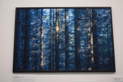 10-copy Niedziela na Salonie