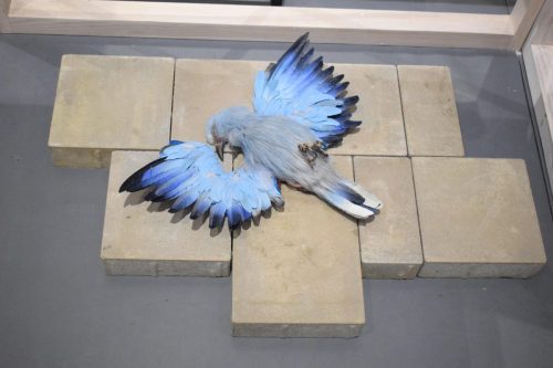 dsc-2131-copy Niedziela na Salonie