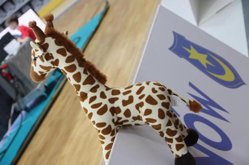 IMG_9527-Copy Grupa Azoty Akademia Tarnowska vs UNI Opole Energia w siatce 0:3