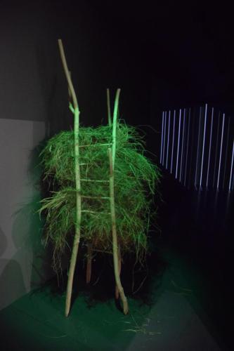 dsc-0804-copy Wernisaż "Stodoła - Las - Dom" Grzegorza Kumorka