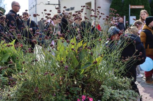 5a-copy Event z okazji Międzynarodowego Dnia Bez Przemocy