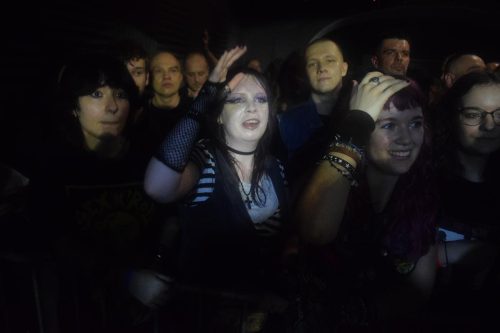 dsc-5658-copy Urodzinowy koncert w Klubie-Piwnicy „Przepraszam” - zespół The Bill