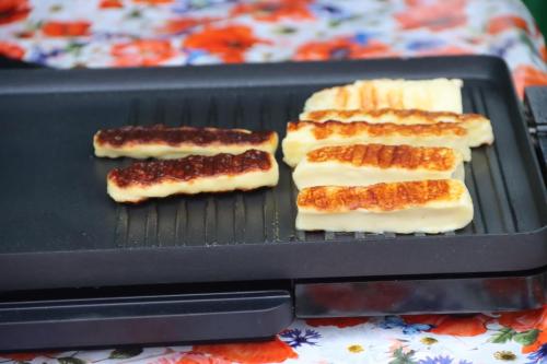 Targ-Bozonarodzeniowy-21 Bożonarodzeniowy Targ Regionalny w Tarnowie