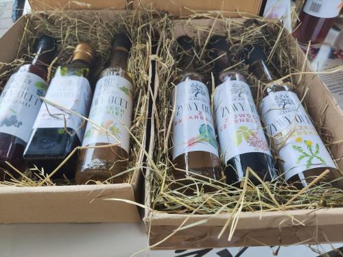 Targ-Bozonarodzeniowy-4 Bożonarodzeniowy Targ Regionalny w Tarnowie