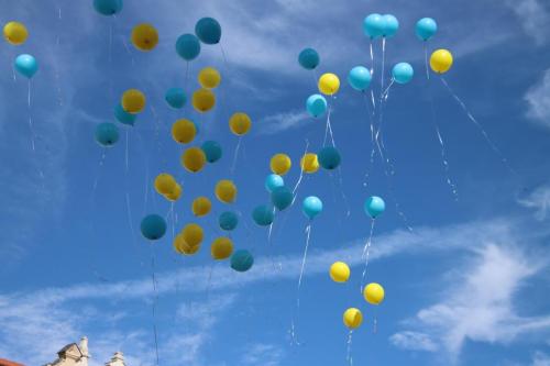 img-1292-copy 695. urodziny Tarnowa - przedszkolaki świętują na Tarnowskim Rynku