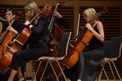 dsc-5053-copy VIII Międzynarodowy Festiwal - młodzi wirtuozi z towarzyszeniem Tarnowskiej Orkiestry Kameralnej