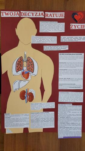 20241015_075229 Tydzień Transplantacji 2024 - ZSEO Tarnów