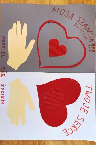 20241015_090747 Tydzień Transplantacji 2024 - ZSEO Tarnów