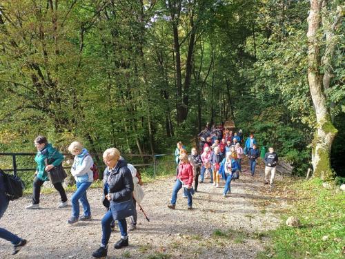Slajd19 Projektowe działania UTW przy Akademii Tarnowskiej