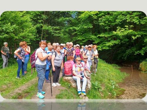 Slajd69 Projektowe działania UTW przy Akademii Tarnowskiej