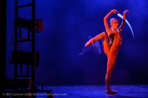 VanGogh53 Widowisko baletowe "Van Gogh" - Davydiuk Dance Company/Art Constanta