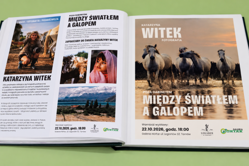 4-copy Między światłem a galopem – pasja uchwycona w kadrze