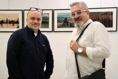 9-copy Między światłem a galopem – pasja uchwycona w kadrze