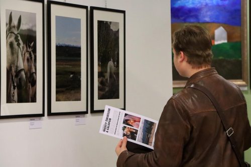 bez-nazwyde-copy Między światłem a galopem – pasja uchwycona w kadrze