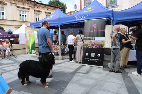 38 Tarnowski Festiwal Wina 2025