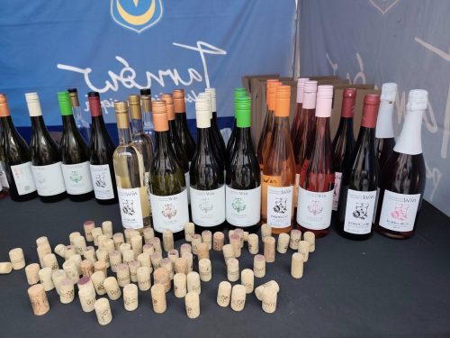 519677841-23944313138524148-4027278563097223372-n-copy Tarnowski Festiwal Wina 2025