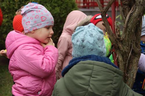 IMG_3489-Copy Wiosna w przedszkolu...