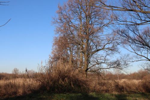 Zaprojektuj-Zielone-Pluca-Tarnowa-1 Zaprojektuj Zielone Płuca Tarnowa