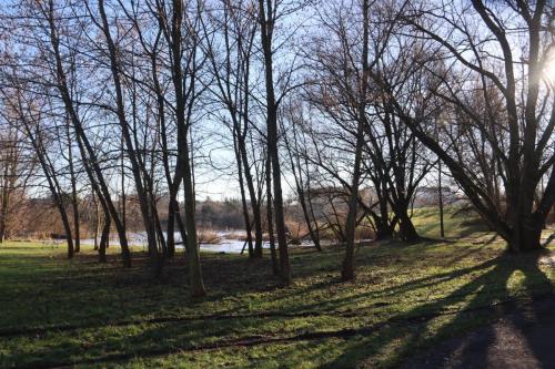 Zaprojektuj-Zielone-Pluca-Tarnowa-12 Zaprojektuj Zielone Płuca Tarnowa