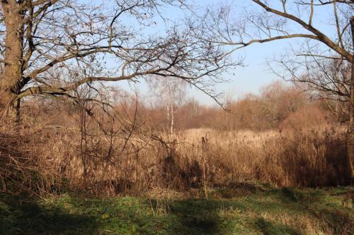 Zaprojektuj-Zielone-Pluca-Tarnowa-4 Zaprojektuj Zielone Płuca Tarnowa