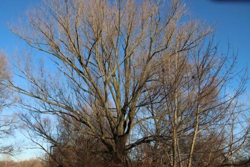 Zaprojektuj-Zielone-Pluca-Tarnowa-5 Zaprojektuj Zielone Płuca Tarnowa