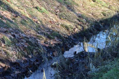 Zaprojektuj-Zielone-Pluca-Tarnowa-6 Zaprojektuj Zielone Płuca Tarnowa