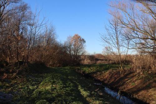 Zaprojektuj-Zielone-Pluca-Tarnowa-8 Zaprojektuj Zielone Płuca Tarnowa