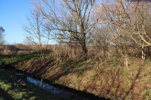 Zaprojektuj-Zielone-Pluca-Tarnowa-9 Zaprojektuj Zielone Płuca Tarnowa